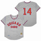Chicago Cubs Ernie Banks 1957 MLB Mitchell Ness Cooperstown Classic Jersey - Gray & Red