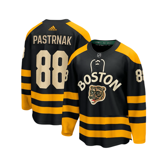 Boston Bruins David Pastrnak 2023 NHL Winter Classic Authentic Adidas Premier Player Jersey