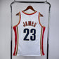 LeBron James Rookie Cleveland Cavaliers Mitchell & Ness Iconic Hardwood Classics NBA Swingman Jersey - White
