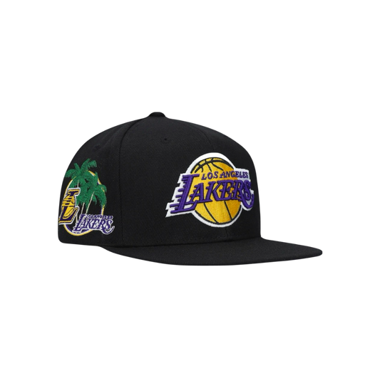 Los Angeles Lakers NBA New Era ‘Palm Tree Pride’ Snapback Hat