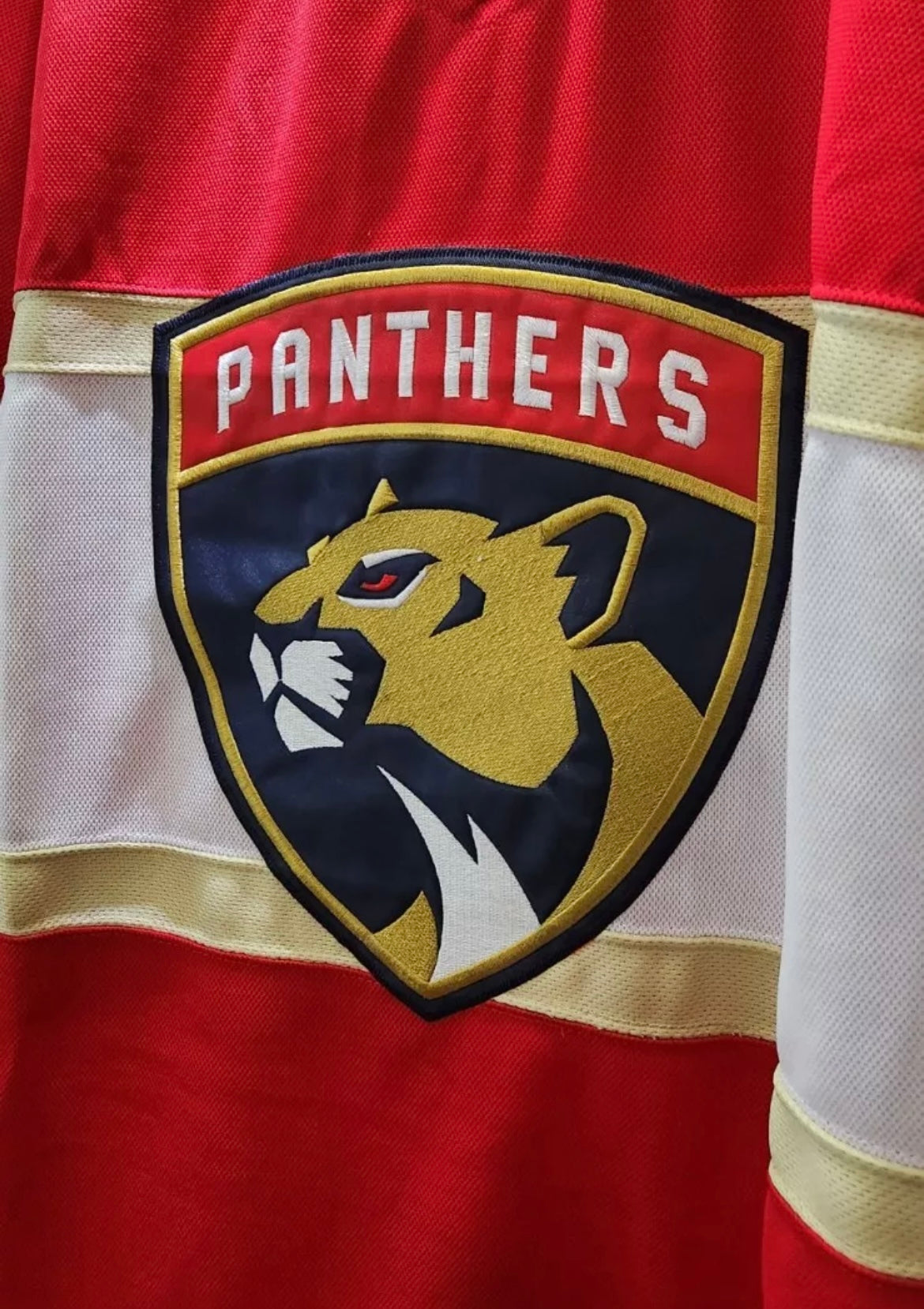 Aaron Ekblad Florida Panthers 2023 NHL Stanley Cup Final Patch Premier Player Jersey - Red