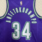 Milwaukee Bucks Giannis Antetokounmpo Purple NBA Hardwood Classic Edition Nike Swingman Jersey