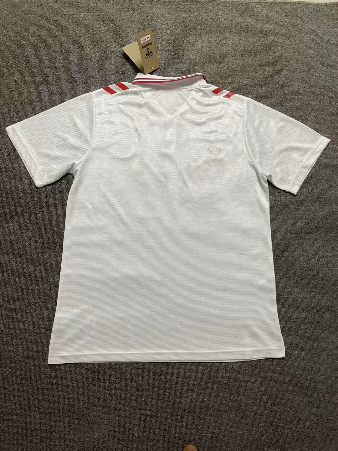 Denmark National Soccer Team 2024/25 Adidas Authentic Away Player Jersey - White (Custom)