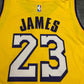 Los Angeles Lakers LeBron James 2020 NBA Nike NBA Swingman Jersey - City Edition