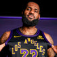 Los Angeles Lakers LeBron James 2023/24 NBA Nike NBA Swingman Jersey - City Edition