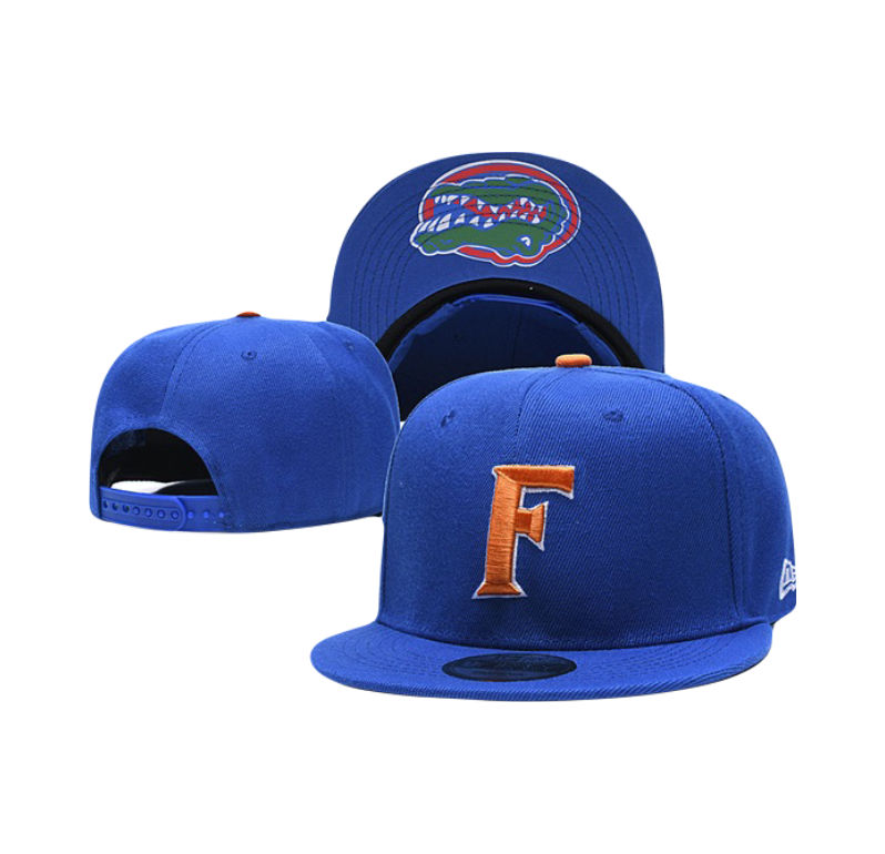 Florida Gators NCAA New Era Team Snapback Hat