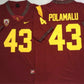 Troy Polamalu USC Trojans 2002 NCAA Campus Legends College Football Jersey - Cardinal Red
