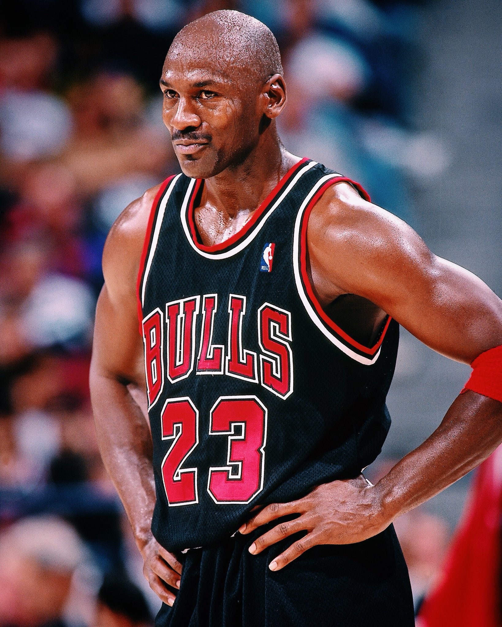 Michael Jordan Black Mitchell & Ness Chicago Bulls 1997-98 Hardwood  Classics Iconic Alternate Jersey